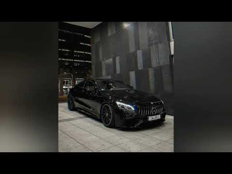 New kuchek!!! Mix Kucheci × 2023