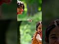 Garhwali Song Whatsapp Status Gadwali Song Garhwali Song Viral Shorts Garhwalisong