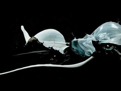 PAINT SPLASH Eizo Monitor Promotional Video