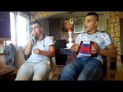 Braća bez gaća 2017.