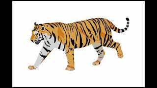 THROUGH THE DARKNESS - Tiger Army (Karaoke)