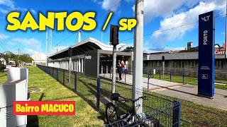 SANTOS / SP - Caminhando pelo bairro MACUCO em dia de Feira Livre . 05/06/2026 .
