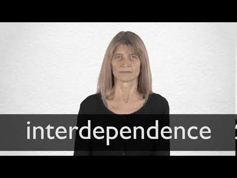 Interdependence Definition And Meaning Collins English Dictionary Interdependence Definition And Meaning Collins English Dictionary