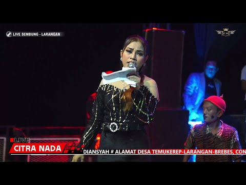 MANUK DARA SEPASANG // CITRA NADA LIVE DESA SEMBUNG // KEC.LARANGAN - BREBES (28 APRIL 2024)