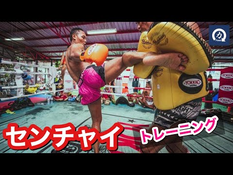 動画サムネイル