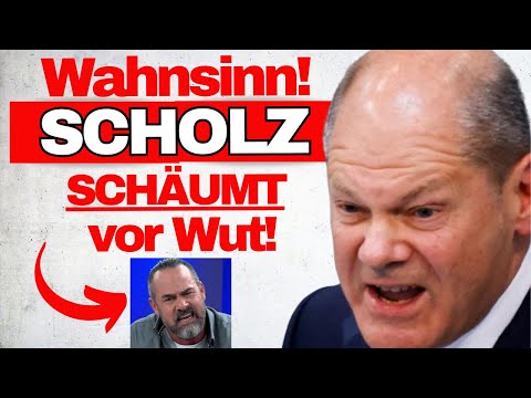 EKLAT: Carsten Stahl zerreißt Politik in 3 min. FDP SPRACHLOS