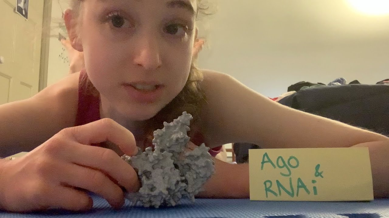microRNA or siRNA + Argonaute (Ago) = the ultimate RISC! RNA interference (RNAi) & Ago awesomeness