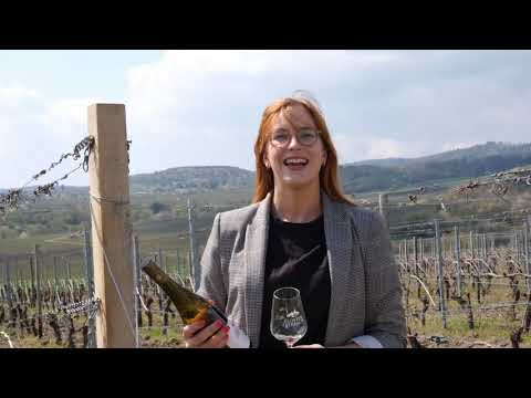 Weintaxi Wiesbaden - Tanz in den Mai