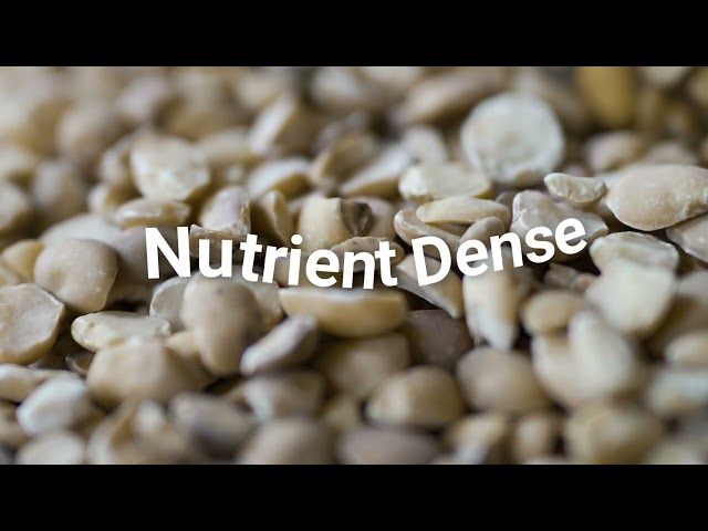 imagen-video-thefoodtech