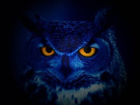 OWL at Night | Acrylic Art Painting on Canvas