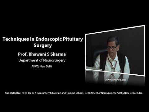 Techniques of endonasal endoscopic pituitary surgery