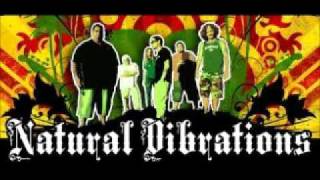 Natural Vibrations - Natural Vibrations