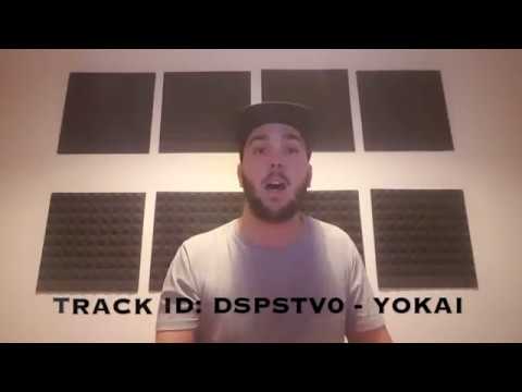 TOTUM Music 10 with DSPSTV0 - The Rapid Questionnaire