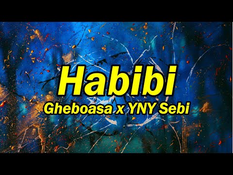 Gheboasa x YNY Sebi - Habibi (versuri)