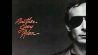 Graham Parker -- Another Grey Area