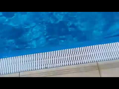 O dia do meu aniversario girafa ☺☺☺