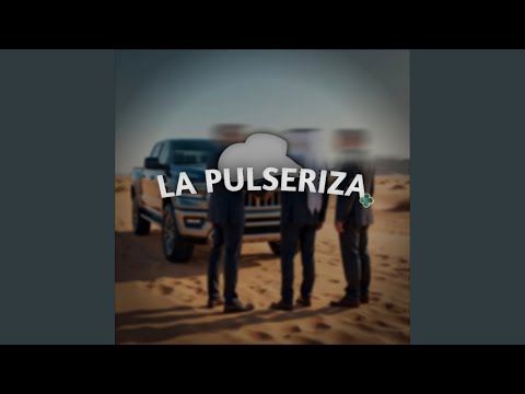 La Pulseriza