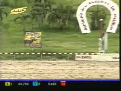 Resumen Viernes, 12 de Septiembre de 2014 - Valencia