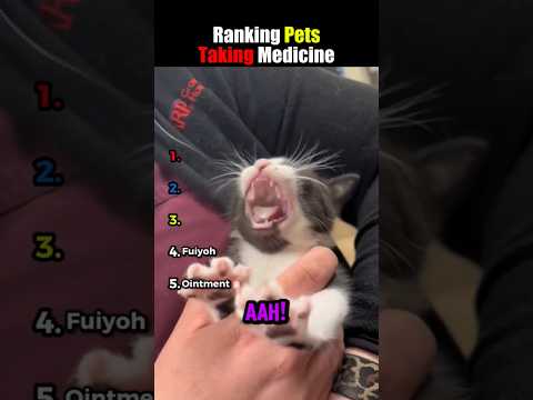 Ranking Pets Taking Medicine💊