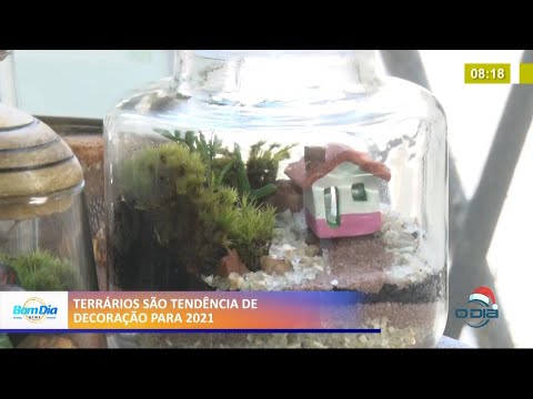 Terrários são tendência de decoração para 2021 15 12 2020