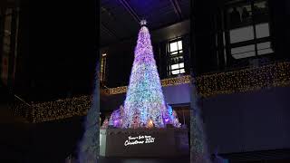 JRゲートタワーのクリスマスツリーを撮影した@2021