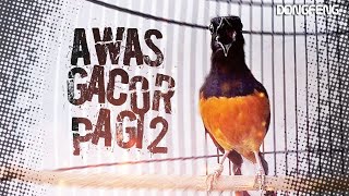 Download lagu Pancingan PAGI HARI 100% Efektif bikin GACOR dengan suara Murai Batu BONGKAR ISIAN mp3 Download lagu Pancingan PAGI HARI 100% Efektif bikin GACOR dengan suara Murai Batu BONGKAR ISIAN mp3