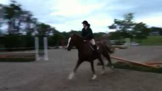 preview picture of video 'Taylor Purcell beginner Hunter/Jumper class'