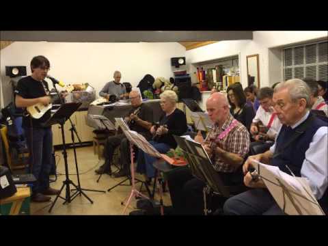 Coda Ukulele Band - Venus-She's Not There (mash up)