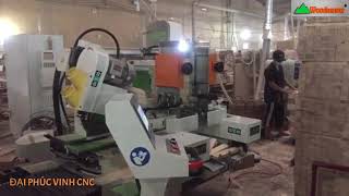 MÁY ĐÁNH MỘNG DƯƠNG CNC 2 ĐẦU TẢI NẶNG WOODMASTER