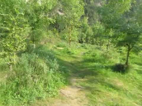 1/2 - 18. Wanderung - Noch einmal zum STEINBRUCHSEE in KALTENLEUTGEBEN