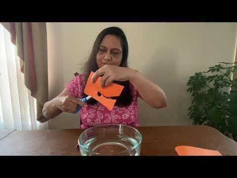 Blooming Flower Science Experiment with Miss Chetna