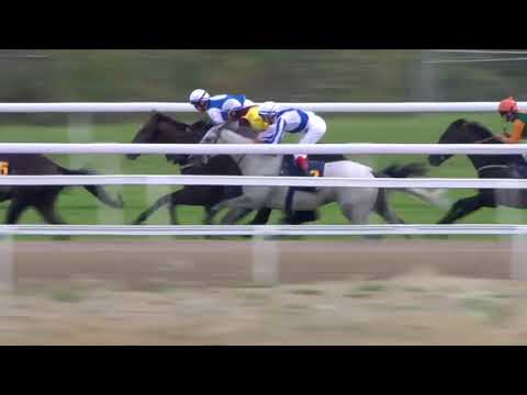 2018.09.23 Stockholm Cup International (SWE) - Thundering Blue