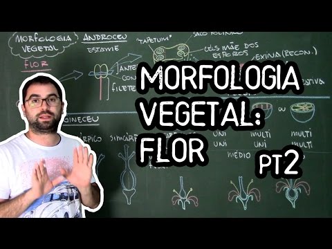 Flower Organology (Morphology) pt2 - Class 19: Botany (Prof. Guilherme)