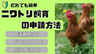 【初心者向け】ニワトリ飼育の定期報告のやり方を分かりやすくまとめました