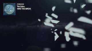 Tibi Dabo - Hire The Birds video