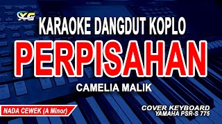 Download lagu CAMELIA MALIK - PERPISAHAN KARAOKE NADA WANITA (DANGDUT KOPLO) mp3
