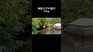 【shortver💜】神奈川プチ旅行Vlog #japan #vlog