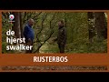 HJERSTSWALKER: Rijsterbos