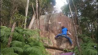 東の野山   ウラジロ 初段