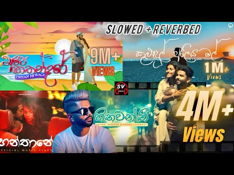 Dhyan Hewage |slowed + reverbed | #sinhalasongscollection | #3 |  #trendingsong | SVmusic