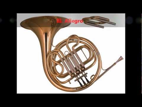 Mozart - Horn Concerto No. 3 in E flat, K. 447 [complete]