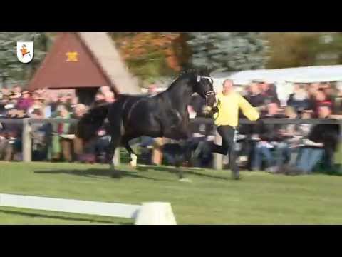 Fürst Belissaro (english)