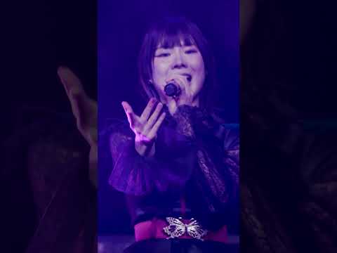 ♪ 失墜の夏 Live ver.  #ringwanderung #live  #idol