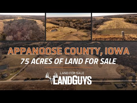 Power-Packed 75 Acres in Appanoose County, IA – Big Buck Paradise!