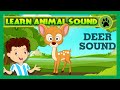 Animal Sound for Children | Deer Sound, Giraffe Sound and Dolphin Sound | Kids Hut