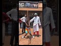 Chamuka Africa Dancing To Eddy Kenzo Balippila Boda 2023