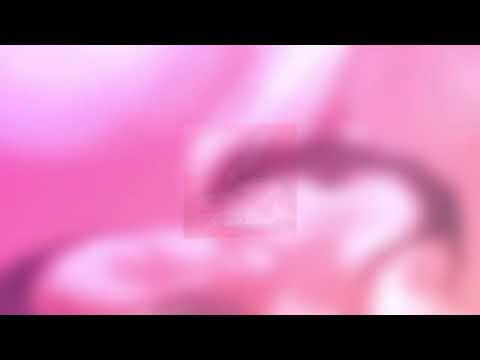 LXE , MOYAK -Ты моя мания (Официальная премьера трека)