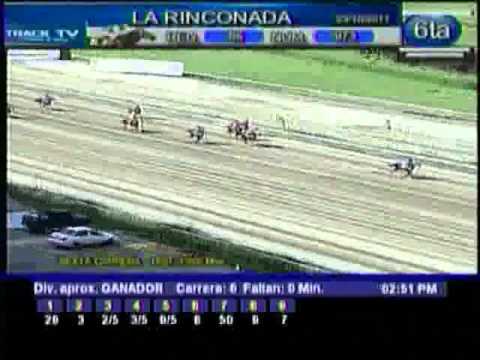 Resumen Domingo, 23 de Octubre de 2011 - La Rinconada