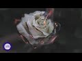 Blackbear Idfc Slowed To Perfection