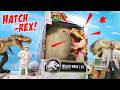 Jurassic World Primal Hatch Your Own T Rex Dinosaur Specimen Review